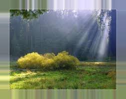 Suatu saat kamu mungkin ingin menggabungkan foto kamu dengan foto idola kamu atau hanya sekedar ingin menambahkan sebuah bingkai/ frame pada foto tersebut. Lunapic Free Online Photo Editor Blurred Border