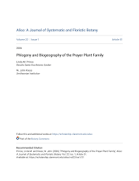 Image result for Trachyphrynium braunianum