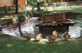 Val De Marne Maisons Alfort Primee Pour Sa Reconquete Ecologique Du Cadre Urbain Actu Val De Marne