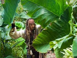 Mcnally golshifteh farahani shansa david wenham scarfield stephen graham scrum angus barnett mullroy martin klebba marty adam brown cremble giles new murtogg orlando bloom will. Pirates Of The Caribbean 4 Jack Sparrow Macht Ne Pauschalreise Der Spiegel