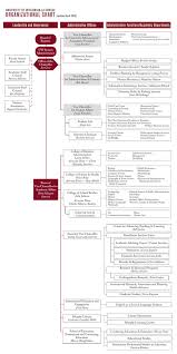 organizational chart leadership and governance