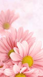 Check out this fantastic collection of hipster flower wallpapers, with 55 hipster flower background images for your desktop, phone or tablet. Pink Daisy Wallpaper Novocom Top