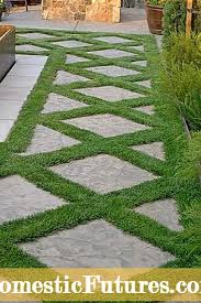 Toprağı kazıp kaldırma, düzeltme gibi işlerde kullanılan ağaç saplı t biçiminde demir aracın adıdır. Cim Ve Bahce Delikleri Bahcemde Delik Kazma Nedir Bahce 2021