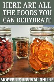 Here Are All The Foods You Can Dehydrate Dehydrator Recipes Fruit Dehydrating Food Storage Dehydrator Recipes