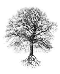 Bildergebnis für Wachstumsbaum