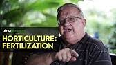 We did not find results for: Chickitty Doo Doo Organic Fertilizer Youtube