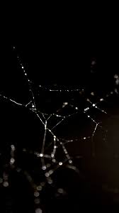 dark web wallpaper wall giftwatches co dark web wallpaper wall giftwatches co