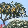 Tempera paint works best for vegetable and fruit painting. 1