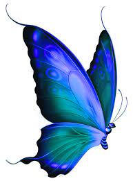 Blue Butterfly Clipart Clipart Panda Free Clipart Images Butterfly Clip Art Butterfly Painting Butterfly Tattoo