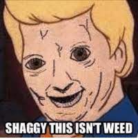 Shaggy S Dank Memes Photos Facebook