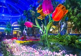Las vegas strip hotel, shows and casino reviews. Las Vegas Hotel Off The Strip Platinum Hotel Spa