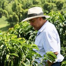 Profesional con 10 años de experiencia en automatización, aplicación de las tic (tecnologías de juan carlos abaunza ardila. Conversation With Aaa Suppliers Sustainable Farming Nespresso
