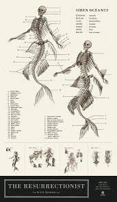 Mythological Creatures Are Cooler When They Re Anatomically Correct Mythological Creatures Mythical Creatures Siren Mermaid