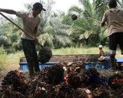 Sesetengah pekerja asing menggunakan program pekerja tetamu di negara yang mempunyai prospek pekerjaan yang lebih disenangi daripada negara asal. Program E Kad Di Malaysia Berakhir Razia Tenaga Kerja Tanpa Dokumen Mulai Digelar Ekonomi Bisnis Com