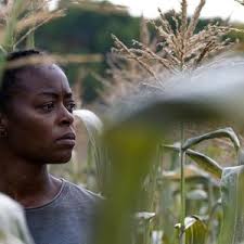 Magnolia Acquires 40 Acres