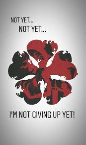 5 Leaf Clover Black Clover Asta Grimoire Blackclover Asta Grimoire Fiveleafclover Black Clover Black Clover Anime Black Clover Manga Clover Tattoos