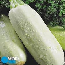 How to store zucchini long term. How To Store Zucchini