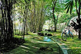 But actually, it can be a 1 day trip. Taman Botani Putrajaya Tarikan Riadah Tempat Menarik Di Putrajaya Tempat Menarik