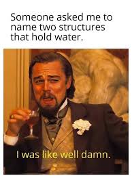 Maybe you would like to learn more about one of these? Someone Asked Me To Name Two Structures That Hold Water Meme Ahseeit