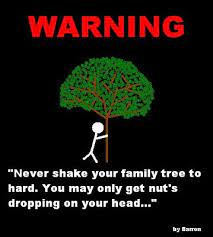 Funny Quotes About Family Trees Quotesgram
