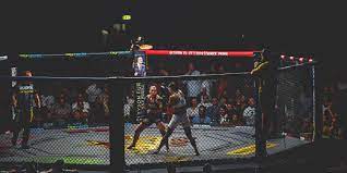 International mma promotion providing world class mma tournaments. Oktagon 12 Bratislava Tournament Delivered Another Unforgettable Show