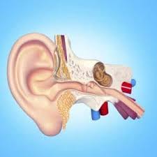 We tend to take ear hygiene for granted until there's a problem, but that's not necessarily a bad thing. Ear Wax Removal Dos And Don Ts You Should Know About Thehealthsite Com