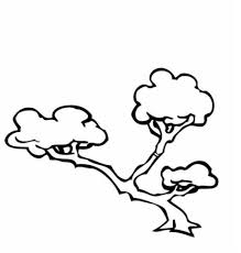 You can also learn on how to paint this acacia tree in realistic and very easy way. 35 Free Tree Coloring Pages Printable