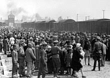 Schutzstaffel - Wikipedia