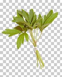 Image result for Microchloa
