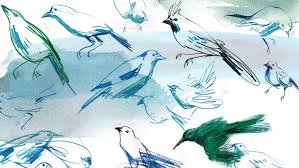 Illustrating Nature A Creative Exploration Laura Mckendry Online Course Domestika