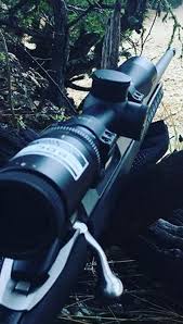 Check spelling or type a new query. Nikon Monarch Rifle Scope Review A Good Scope For Hunting