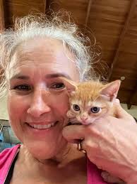 Adoptable kittens from animal rescue