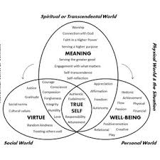 Marc mauer and ashley nellis. Pdf From Attunement To A Meaning Centred Good Life Book Review Of Daniel Haybron S Happiness A Very Short Introduction