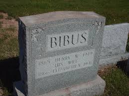 Elizabeth Veronica Lawler Bibus (1866-1941)