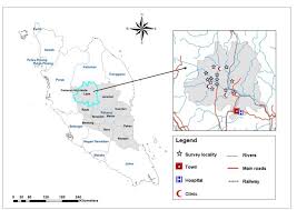 59, jalan besar, kuantan, 25000, kuantan, pahang, 25000 kuantan, pahang, malaysia address. Towards An Effective Control Programme Of Soil Transmitted Helminth Infections Among Orang Asli In Rural Malaysia Part 1 Prevalence And Associated Key Factors Parasites Vectors Full Text