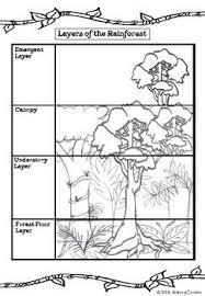 Rainforest Worksheets And Activities Pack Lessons Activities Writing Templates Rainforest Animals