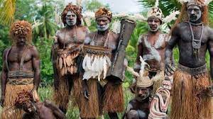 Jun 10, 2021 · mereka berasal dari satu keluarga kerajaan cina yang kalah dalam peperangan dan pergi untuk mengamankan diri hingga sampailah di pulau kalimantan. 9 Suku Suku Di Papua Dan Penjelasannya Broonet