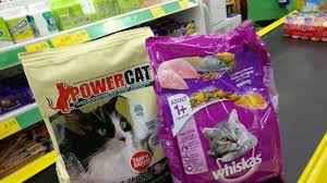 Cari makanan kucing yang mengandung sumber lemak khusus untuk kucing dewasa. Makanan Kucing Parsi Yang Halal Youtube
