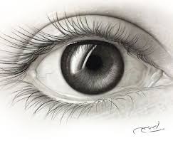 Realistic Black And Gray Eye Pencil Drawing By Artist Ayman Arts No 210 Eye Drawing Girl Eyes Drawing Drawing Artist