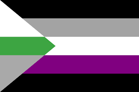 Find out what each of these 23 pride flags mean, and see each one here. My First Take At A Demiromantic Asexual Flag Das Me Queervexillology