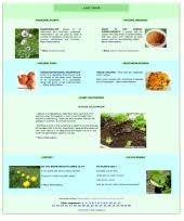 Plant materials plant fact sheet/guide coordination page national plant data center. 30 Grow Assess Durian Ideas Durian Growing Durian Tree