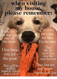 When Visiting My House Please Remember To Youi If You Don T Like Dog Hair Am A Dog But Here Stay Ff The Couch I M The Ba Dog Quotes Love Dog Quotes