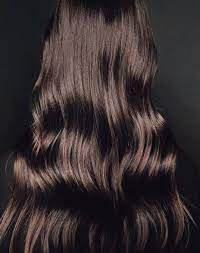Getting shiny hair doesn't have to be difficult. How To Make Brown Hair Shiny Purewow
