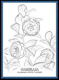 Alabama state symbols contains descriptions and pictures of the state symbols, emblems, and mascots of the state of alabama, which can be quickly accessed. Alabama State Flower Coloring Page Archives Usa Facts For Kids