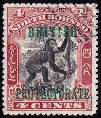 In this video, i give you a quick update on how my cacti are doing. Monkeys In Art Space Mythology Literature And On Trees Page 7 Postage Stamp Chat Board Stamp Forum