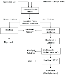 schematic flow diagram of the biodiesel production from