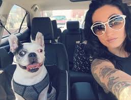 Hip In Detroit: Get Ready to Hit the Road with Paws Buzz Go!