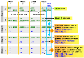 Network Design Ip Addressing And Subnetting Exercise