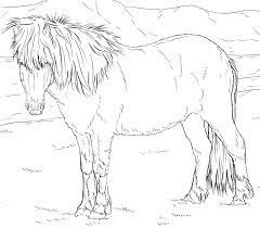 realistic icelandic horse coloring page free printable coloring pages for kids
