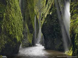 nature, Landscape, National Geographic, Trees, Rock, Moss, Plants, River,  Waterfall, Valley, Oregon, USA, Long exposure, Photography Wallpapers HD /  Desktop and Mobile Backgrounds